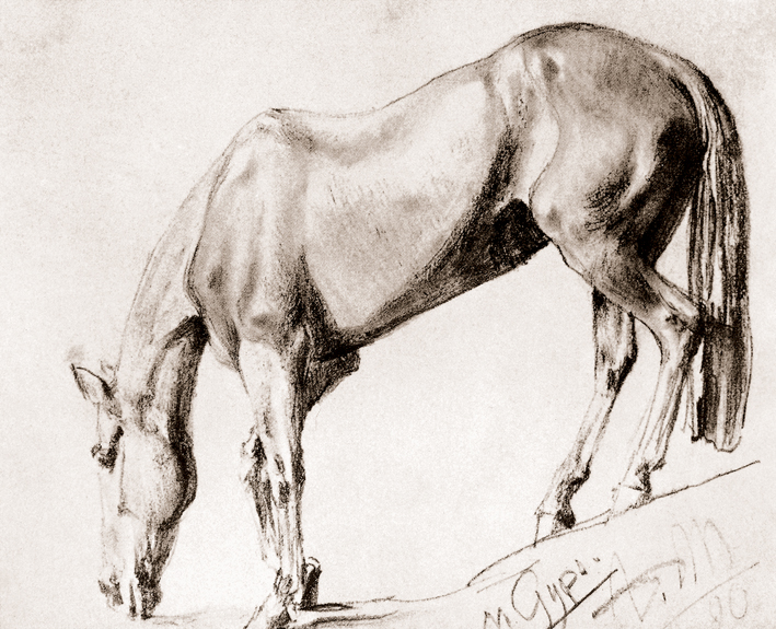  Adolpyh Von Menzel —— 马的习作